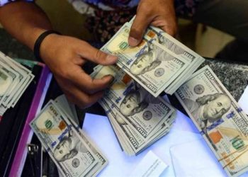 المركزي: 20.0 مليار دولار حصيلة تحويلات المصريين بالخارج خلال أول 7 أشهر من 2024-2025