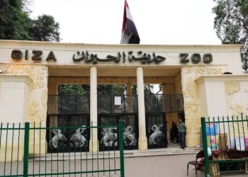 هل يتم افتتاح أبواب حديقة الحيوان في عيد الأضحى؟