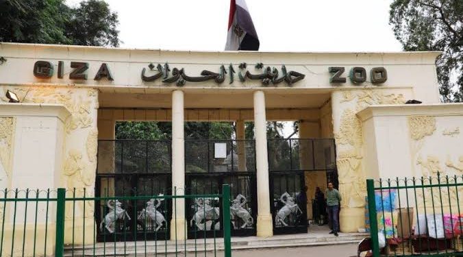 هل يتم افتتاح أبواب حديقة الحيوان في عيد الأضحى؟