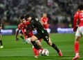 هل تعاد مباراة القمة 130 بين الأهلي والزمالك؟.. خبير لوائح يوضح