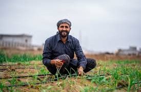 القرش: طفرة غير مسبوقة في قطاع الزراعة المصري خلال الربع الأول من 2025