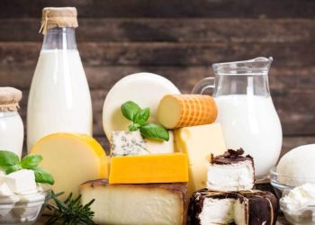 ما هو مستقبل صناعة الالبان؟ غرفة الصناعات الغذائية تناقش ذلك