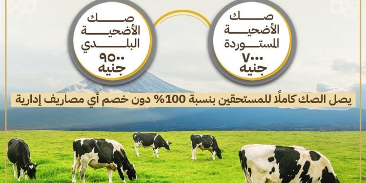 اليوم.. انطلاق حملة صكوك الأضاحي لعام ١٤٤٦هـ / ٢٠٢٥م