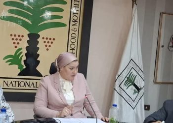 السنباطي: صدور قانون إعادة تنظيم المجلس يؤكد دعم القيادة السياسية لقضايا الطفل ووضعها في المكانة التي تستحقها