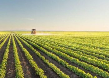 عمومية “لوتس للتنمية” تقرر ترحيل أرباح 2024
