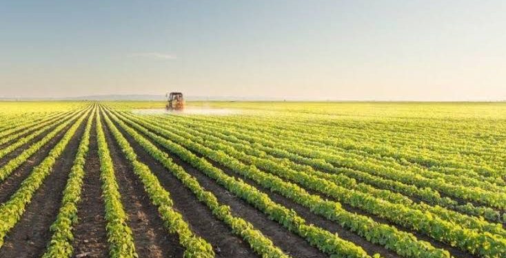 عمومية “لوتس للتنمية” تقرر ترحيل أرباح 2024