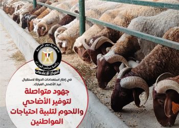 ” مجلس الوزراء” مشروع “صكوك الأضاحي” يضمن توزيع اللحوم بنسبة 100% للمستحقين