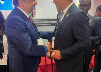 شيمي: مصر حريصة على تعزيز الشراكة مع الدول الأفريقية