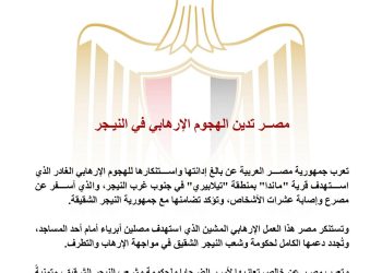 مصــر تدين الهجوم الإرهابي في النيـجر