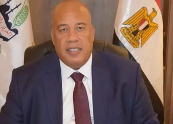 أيمن العشري يشيد ببيان الخارجية المصرية بشأن ضوابط زيارة الحدود مع غزة