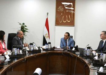 رئيس الوزراء يتابع عددا من الملفات مع وزيري الكهرباء والبترول