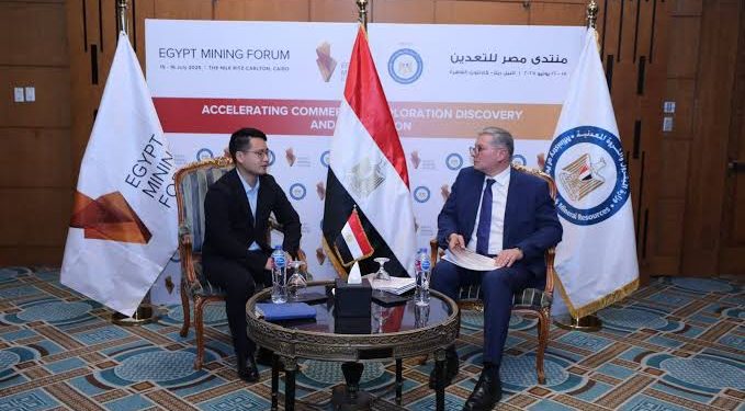 وزير البترول يبحث مع شركة صينية تصنيع الألواح الزجاجية الشمسية فى مصر