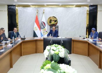 وزير قطاع الأعمال يوجه بإحداث نقلة نوعية في أداء شركة النصر للإسكان والتعمير وتعزيز الحوكمة وحسن استغلال الأصول