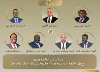 وزير الخارجية يُجري اتصالات مع عدد من نظرائه في الدول الأفريقية لتعزيز التعاون الثنائي والإقليمي