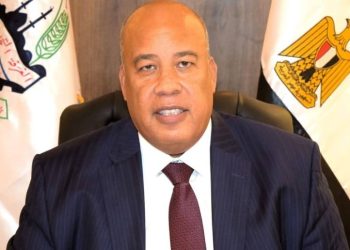 أيمن العشري: لجنة تطوير خام الحديد تمثل نقلة نوعية لزيادة الاعتماد على الخام المحلي