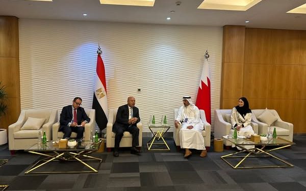 كامل الوزير:  كل الشركات المصرية الوطنية المتخصصة التي نفذت المشروعات العملاقة في مصر وخارجها