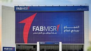 %39.9 نمواً.. تمويلات «FABMISR» المشتركة ترتفع إلى 17.74 مليار جنيه بنهاية يونيو 2025