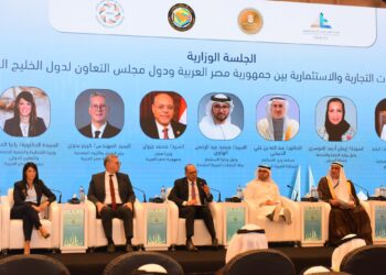 وزير العمل: تدريب العمالة المصرية مفتاح تصدير الكفاءات للأسواق الخارجية