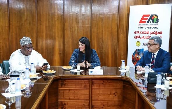 المشاط لسفراء إفريقيا: تكامل القارة هو مفتاح التنمية.. ومصر ملتزمة بتعزيز الشراكات المشتركة