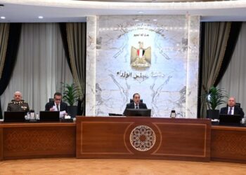 14 قرارًا استراتيجيًّا لـ”الوزراء” تدعم الصناعة والطاقة الخضراء والتنمية الاقتصادية والاجتماعية -تفاصيل