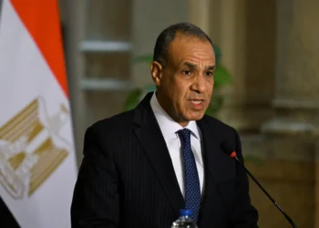 وزير الخارجية: مصر لن تقبل بتقسيم السودان أو انهيار دولته