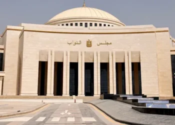 أسماء المعينين بمجلس النواب.. سامح شكري والورداني وعبد الخالق إبراهيم أبرزهم