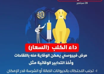 مع انتشار الكلاب الضالة.. الصحة تستكمل التوسع الجغرافي لـ مواجهة “السعار” بجميع المحافظات