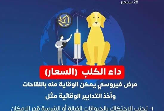 مع انتشار الكلاب الضالة.. الصحة تستكمل التوسع الجغرافي لـ مواجهة “السعار” بجميع المحافظات