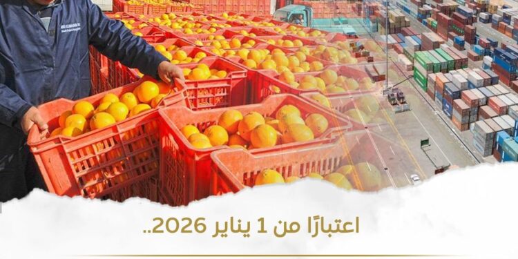 فتح أسواق الدومينكان أمام الفواكه المصرية