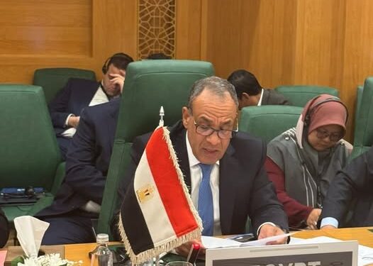 مصر تُعلن رفضًا قاطعًا لأي اعتراف غير مشروع بـ«أرض الصومال»
