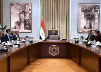 رئيس الوزراء يبحث فرص توطين صناعة السيارات وزيادة تنافسية المناطق الحرة