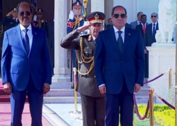 الرئيس السيسي: مصر ستظل شريكًا صادقًا لدعم وحدة الصومال وأمن القرن الإفريقي