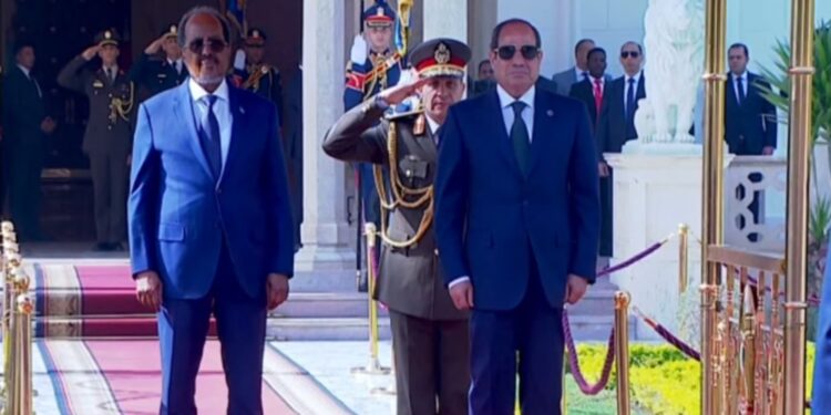 الرئيس السيسي: مصر ستظل شريكًا صادقًا لدعم وحدة الصومال وأمن القرن الإفريقي