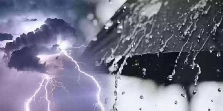 تقلبات جوية وأمطار ورياح.. الأرصاد تحذر من برودة الليل وتوجه نصيحة هامة للمواطنين