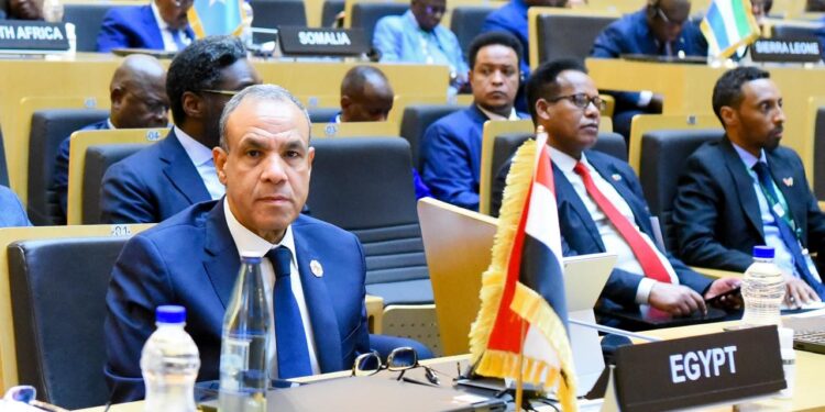 بتكليف رئاسي.. وزير الخارجية يترأس وفد مصر في قمة الاتحاد الإفريقي