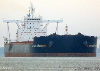 ميناء شرق بورسعيد يستقبل ثالث أكبر سفينة صب جاف ويعزز مكانته التنافسية