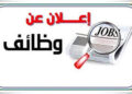 إتاحة آلاف الوظائف في 14 محافظة