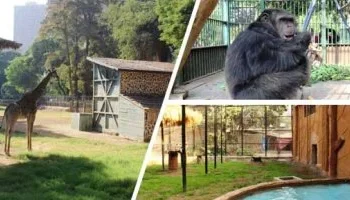 “الزراعة” تعلن جاهزية حدائق الحيوان لاستقبال الزائرين في عيد الفطر