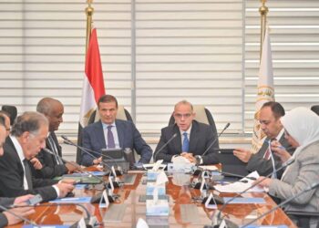 مصر تتجه لإفريقيا.. إنشاء كيان استثماري لدعم المستثمرين وتعزيز الأمن الغذائي -تفاصيل