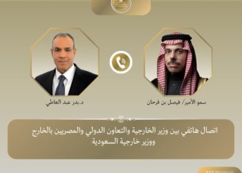 وزير الخارجية يؤكد تضامن مصر الكامل مع السعودية في مواجهة التحديات