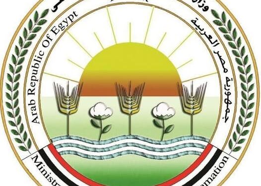 كعك العيد متوفر والرقابة مشددة.. استعدادات «الزراعة» لاستقبال عيد الفطر