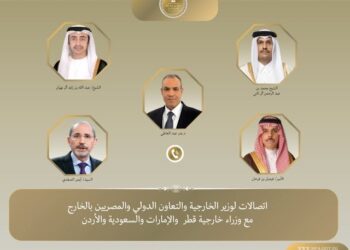 اتصالات رباعية لوزير الخارجية.. تحرك مصري مكثف لتنسيق خفض التصعيد