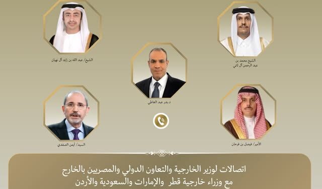 اتصالات رباعية لوزير الخارجية.. تحرك مصري مكثف لتنسيق خفض التصعيد