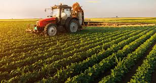 تحذيرات من نقص الغذاء عالميًا بسبب تراجع إنتاج الأسمدة 20%