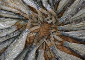 زيادة في معروض الأسماك المملحة وارتفاع الأسعار مع حلول موسم شم النسيم