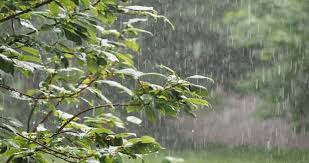 الأرصاد تحذر من أمطار رعدية في هذه الأوقات