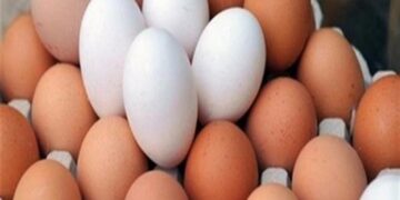 العراق يرفع الحظر عن استيراد بيض المائدة