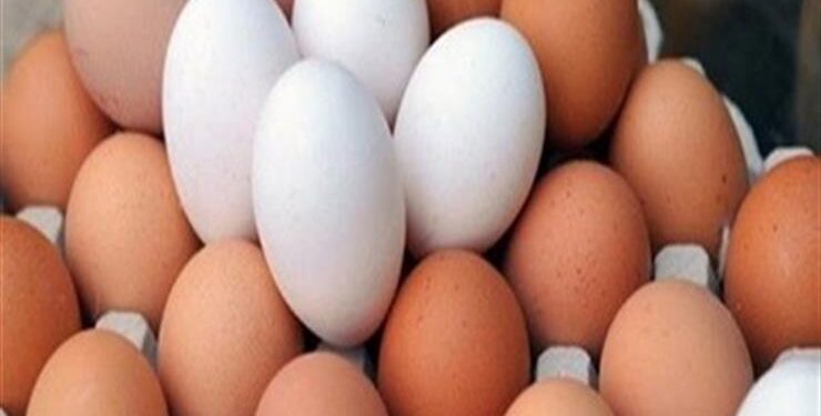 العراق يرفع الحظر عن استيراد بيض المائدة
