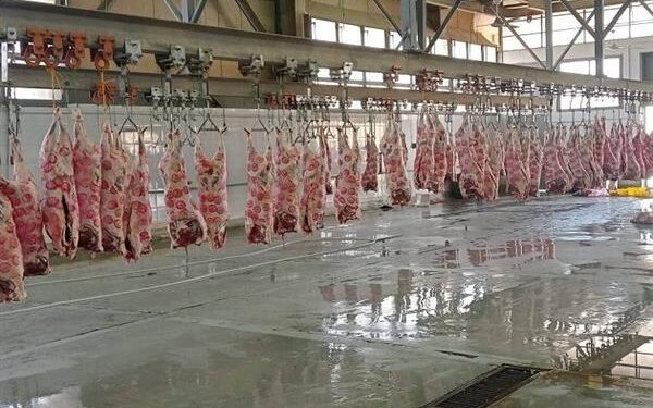 ذبح 35,5 ألف أضحية بالمجازر الحكومية مجانا في العيد