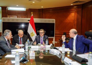  وزير التخطيط يترأس اجتماع لجنة الاستثمار ببنك الاستثمار القومي لبحث الأصول وإعادة الهيكلة